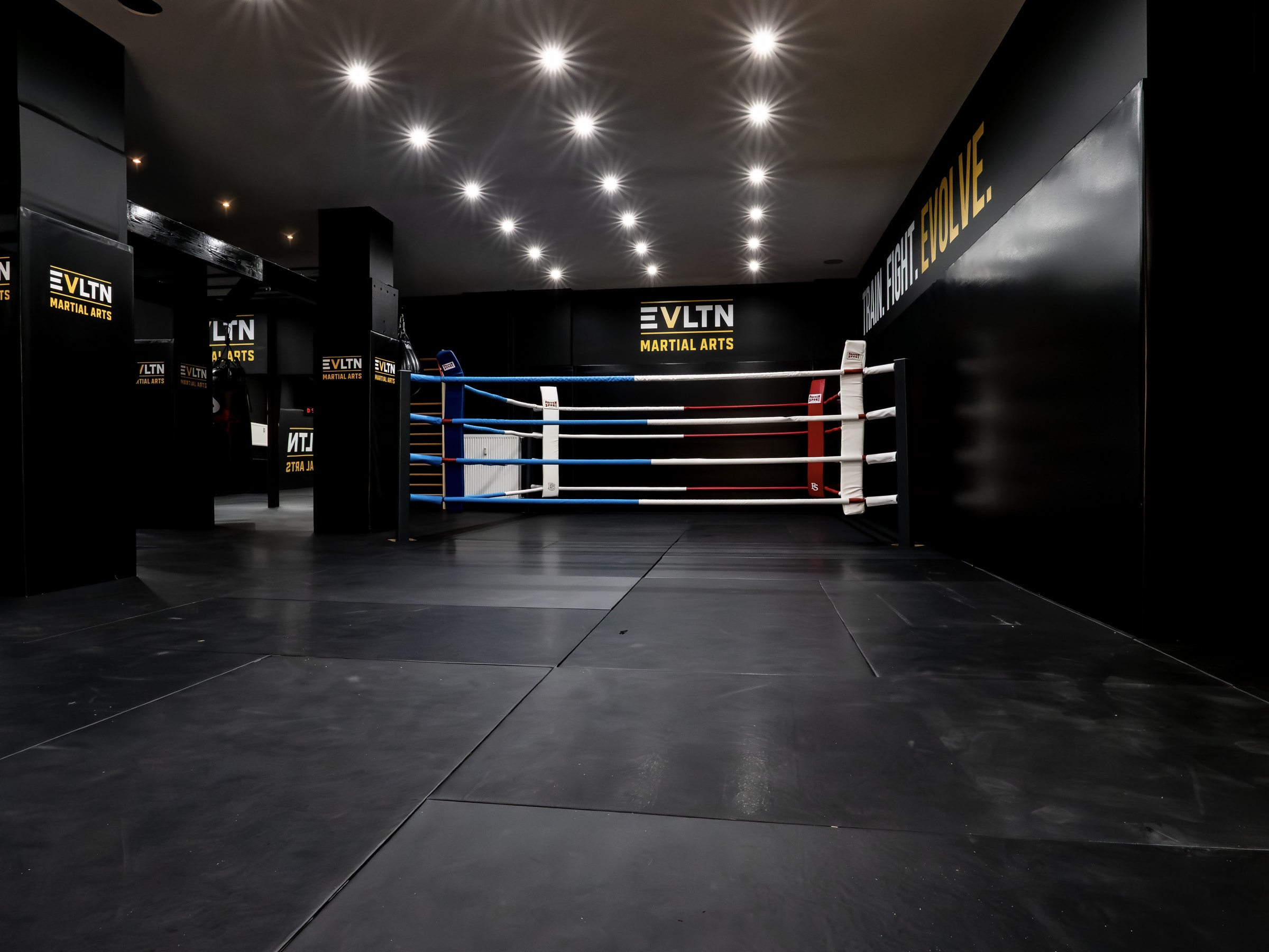 Boxring mit blauen, weißen und roten Seilen hinter der freien Trainingsfläche im EVLTN Gym